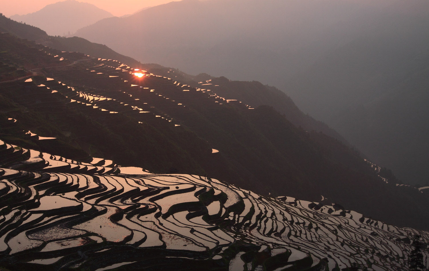 Congjiang Jiabang Terraced Fields